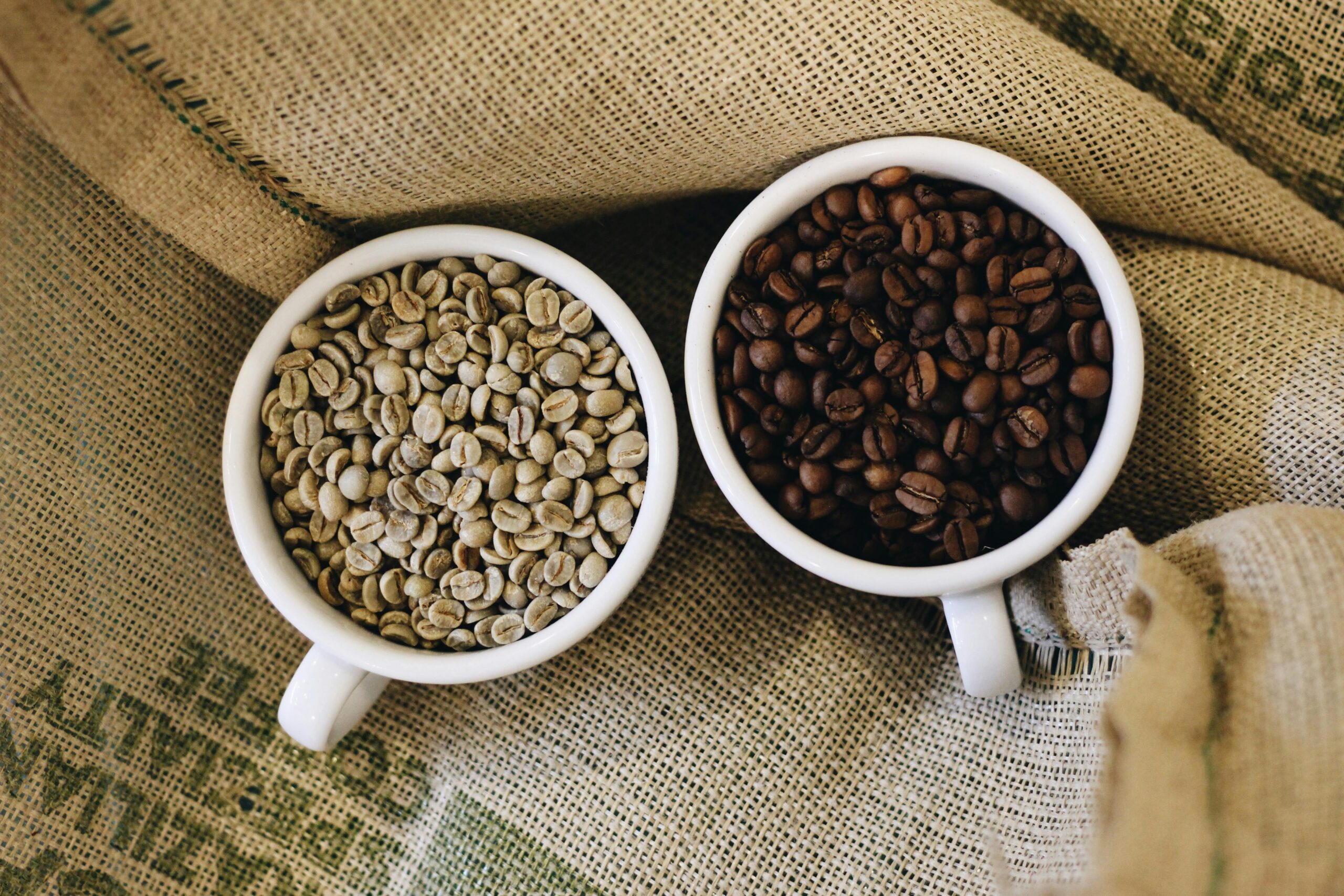 Shop with Purpose: Embrace Fair Trade