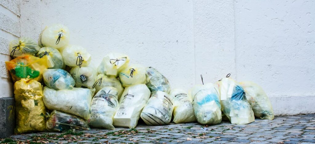 From Plate to Planet: Your Food Waste Challenge