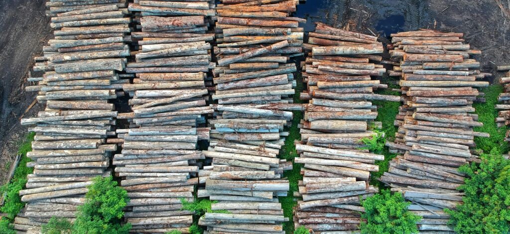 Switch to Digital Documents and Reduce Paper Waste