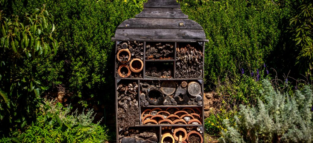 Log It, Don’t Toss It: One Small Habit to Rewild Your Yard