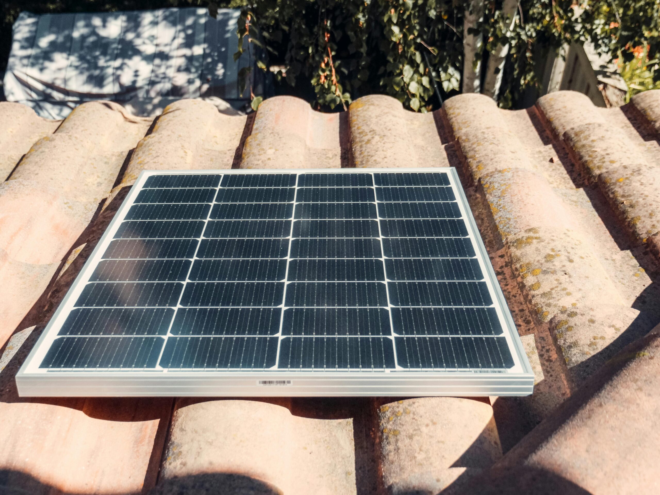 Shine Bright, Save Green: Switch to Solar-Powered Lights!