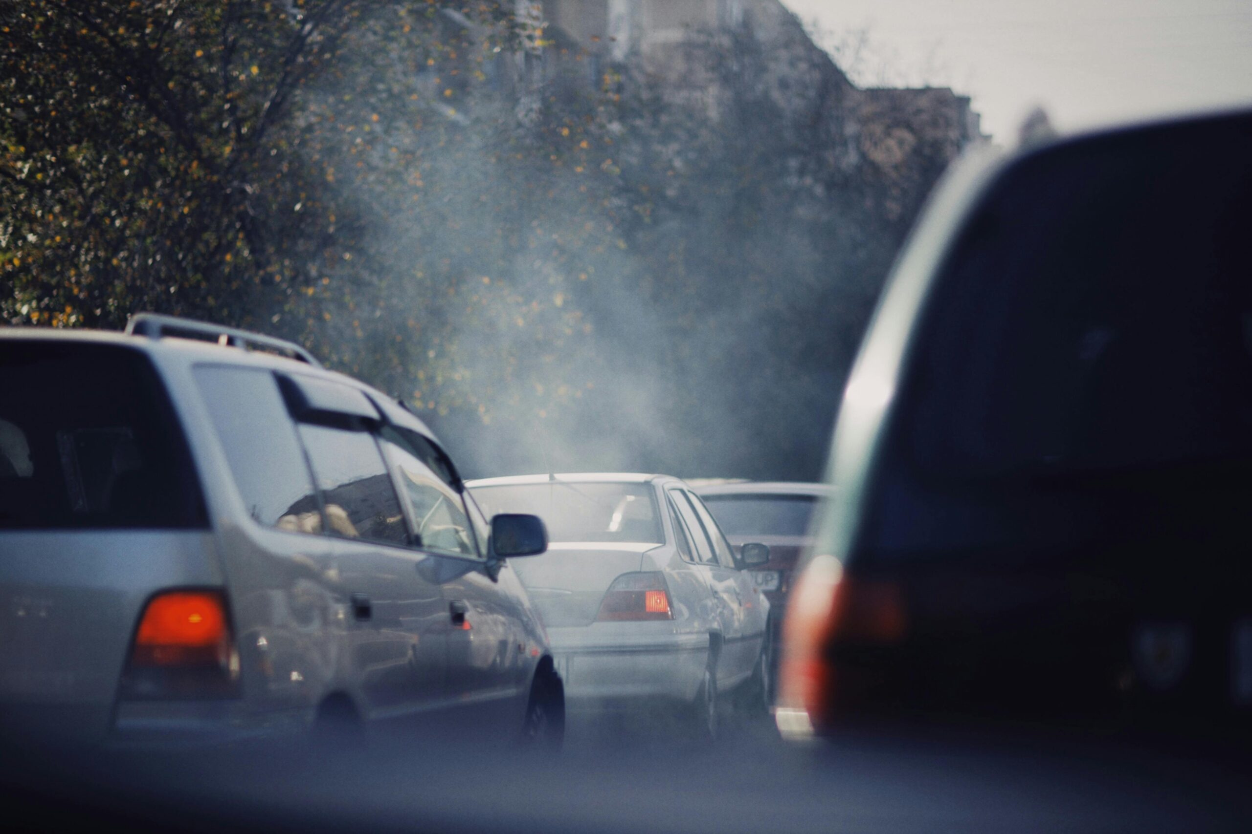 The Walk-to-School Challenge: A Fun Way to Fight Climate Change