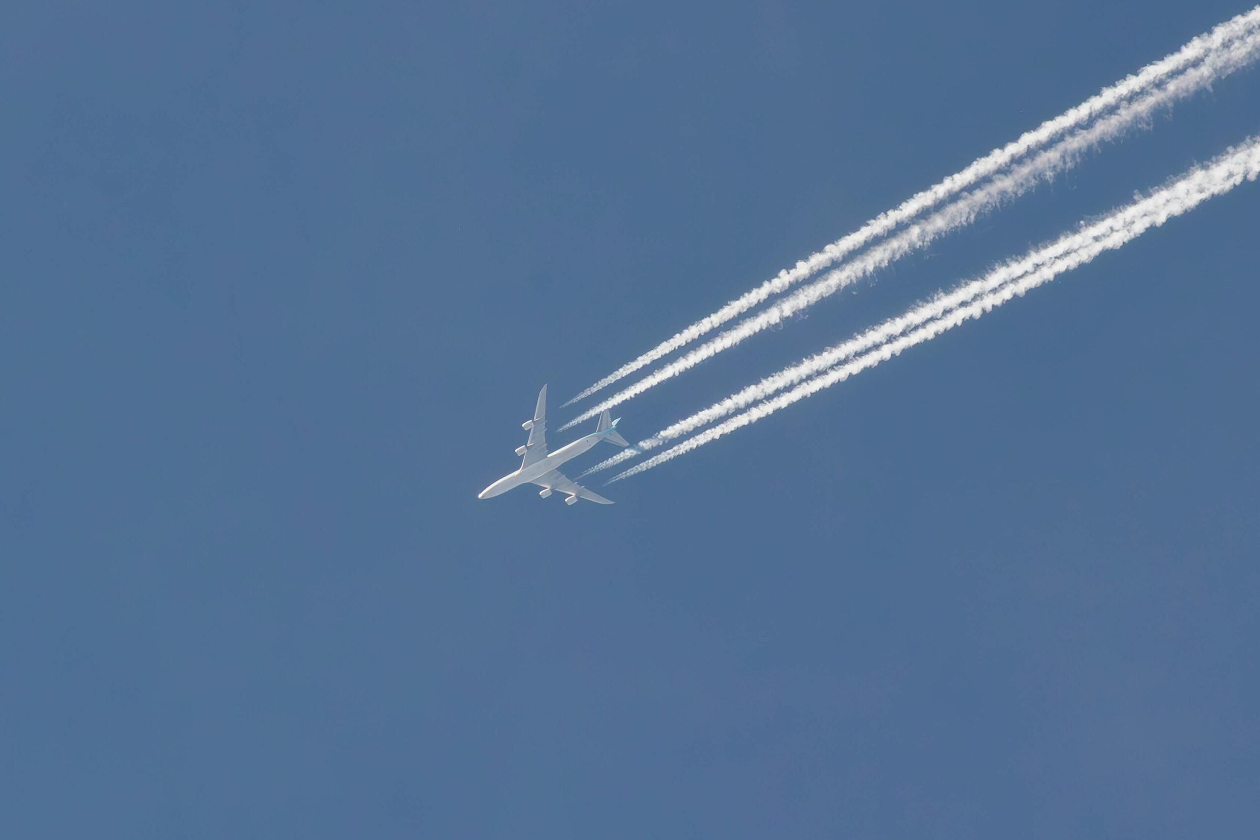 Track One Emission Daily: Build Your Climate Awareness