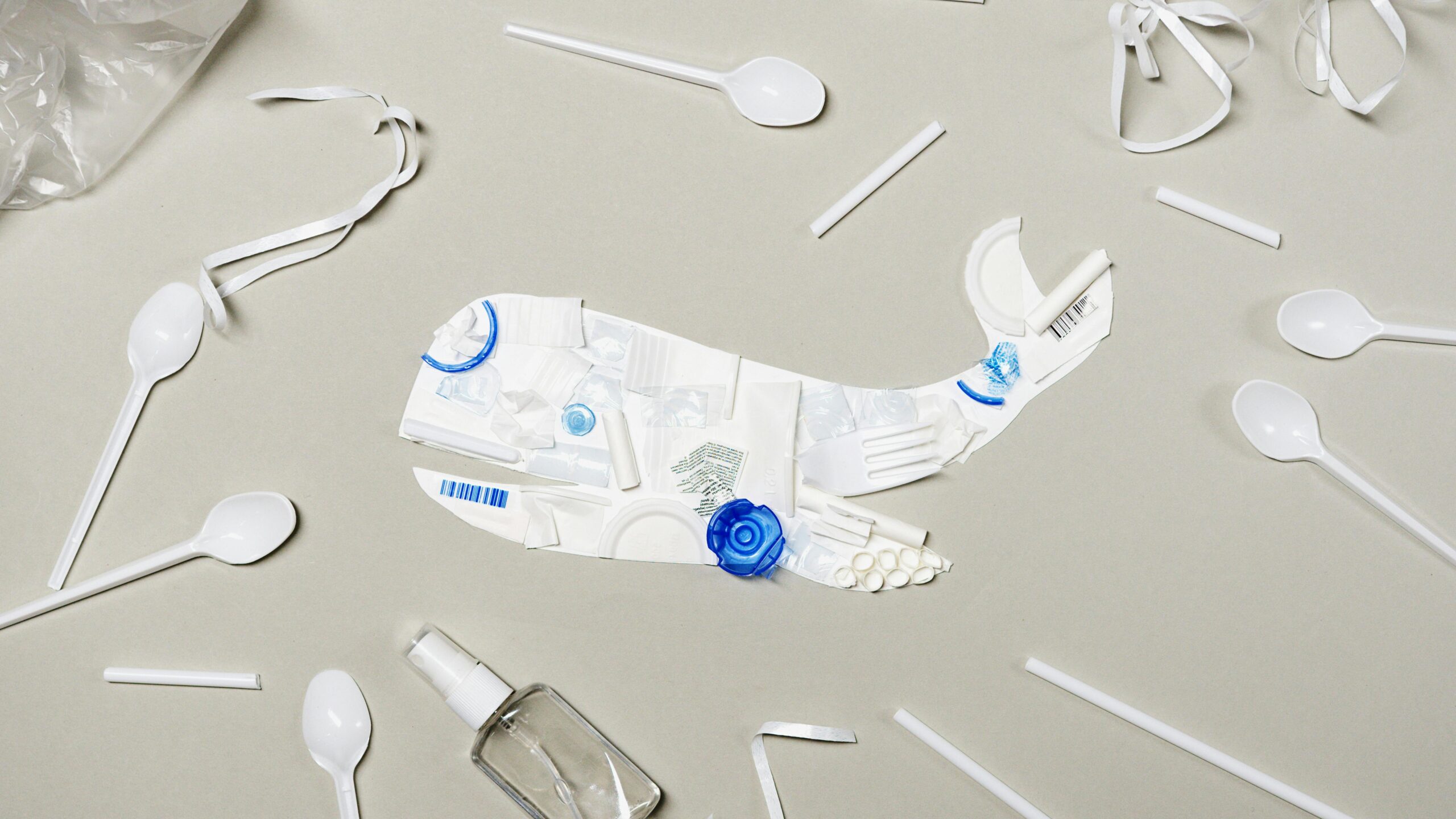 Say No to Plastic Spoons: A Tiny Refusal with a Big Impact